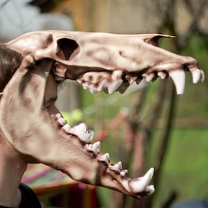 Wendigo big head Mask, Wendigo Mask Realistic face Mask, Horror Mask, resin skull mask, shamanic mask, pagan mask, ritual mask, creepy mask