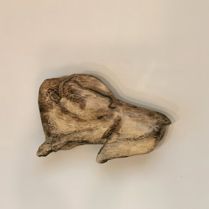 Paleolithic Bison Licking Insect Bite, Primitive Tribal Craft, Prehistoric Antler Carving, Realistic Museum Replica of Real Ancient Artifact