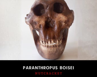 アウストラロピテクス・アフリカヌス、タウン・チャイルド、古代人類の