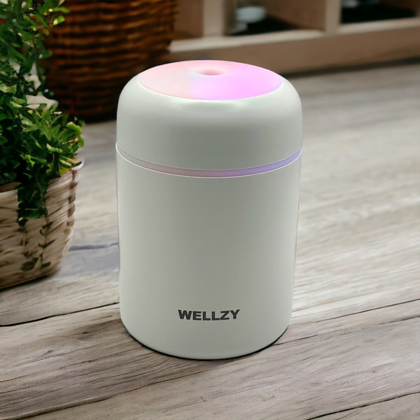 Wellzy Air Purifier, Humidifier for Bedroom, Office, Car