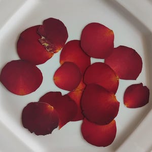 Rose petals