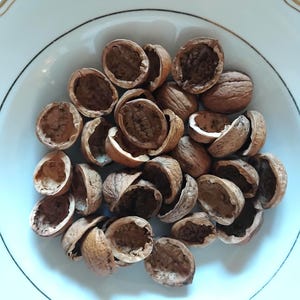 May include: A white bowl with a gold rim filled with empty walnut shells. The shells are brown and have been cracked open, revealing the inner texture. The arrangement is casual, with shells scattered throughout the bowl.