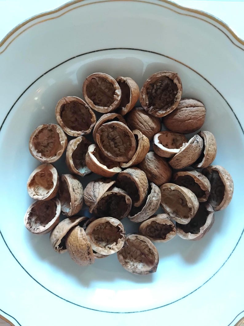 May include: A white bowl with a gold rim filled with empty walnut shells. The shells are brown and have been cracked open, revealing the inner texture. The arrangement is casual, with shells scattered throughout the bowl.