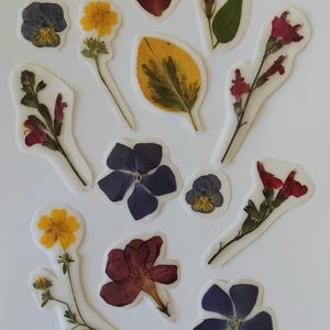 Stickers fleurs pressées