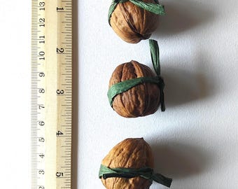 empty nuts