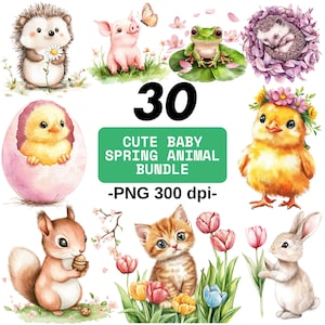 30 Baby Spring Animal Clipart PNG Bundle with Cute Woodland Creatures, Chicks, Bunny, Frog, Kitten and More for Crafts & Sublimation