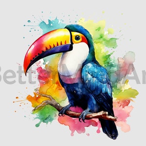 Watercolor Toucan Bird Sublimation Designs - Toucan PNG, Bird Clipart