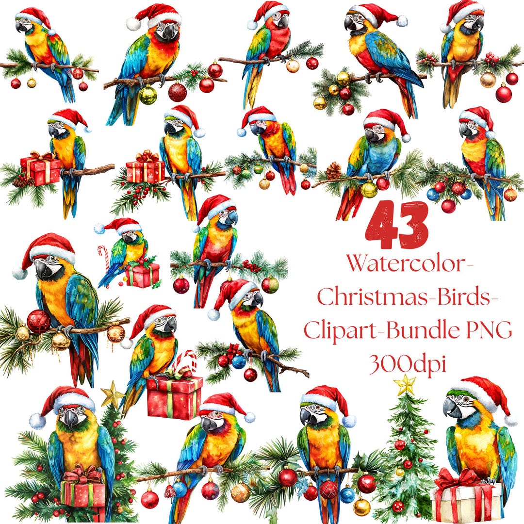 43 Watercolor Christmas Birds Clipart Bundle PNG | Festive Parrot Santa ...