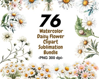 76 Watercolor Daisy Flower Clipart Bundle PNG | Hand Painted Floral Sublimation Graphics | Spring Wildflower Clip Art for DIY Crafts