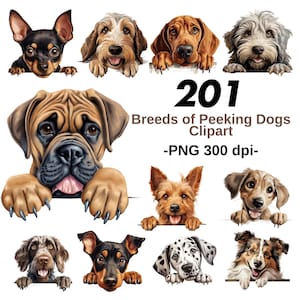 Peeking Dog Breeds Transparent PNG Bundle, Dog Lover Clip Art Set, Pet Graphics, Pet Owner Downloadable Graphics, Instant Download