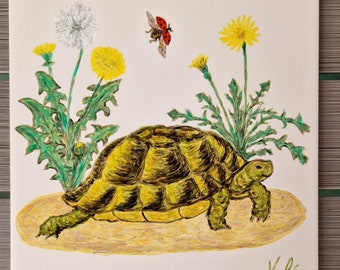 Peinture sur faïence tortue hermann