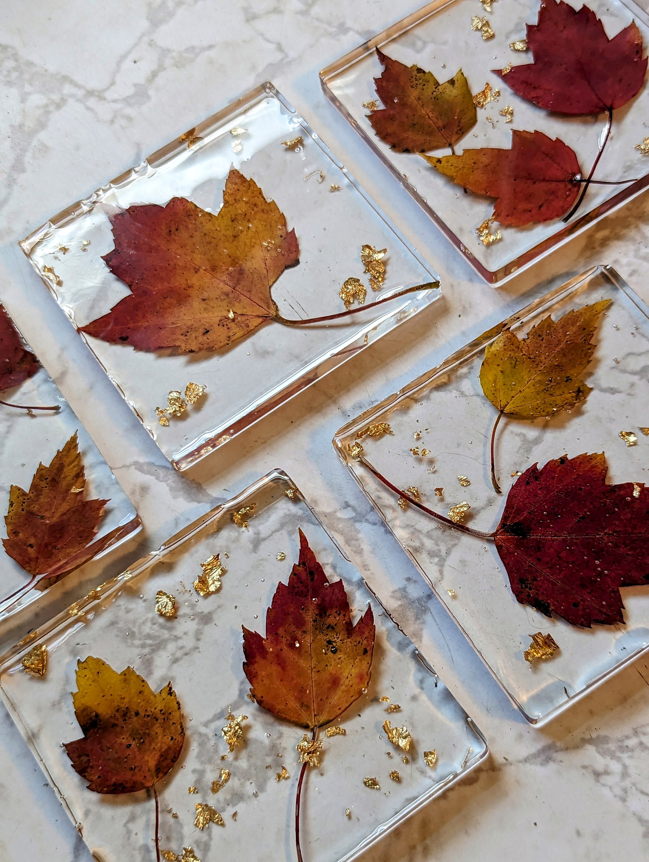 SAISONNIER** sous-verres en résine avec vraies feuilles pressées (Ensemble de 5)