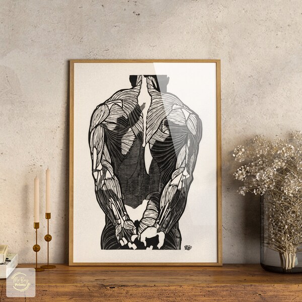 Anatomical Back Muscles | aesthetic, aesthetic roomdecor, pop art, wall art for living rooms, artistic paintings, canvas, famous artist