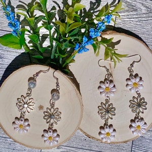Pushing Daisies