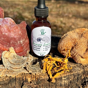 May include: A brown glass bottle with a dropper top filled with a dark liquid. The label reads "Artisan Immune Support" and lists ingredients including Turkey Tail, Red Reishi, Hawthorn, Cordyceps, and Goji. The bottle is sitting on a wooden surface with various mushrooms.