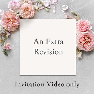 Extra Revision for Video