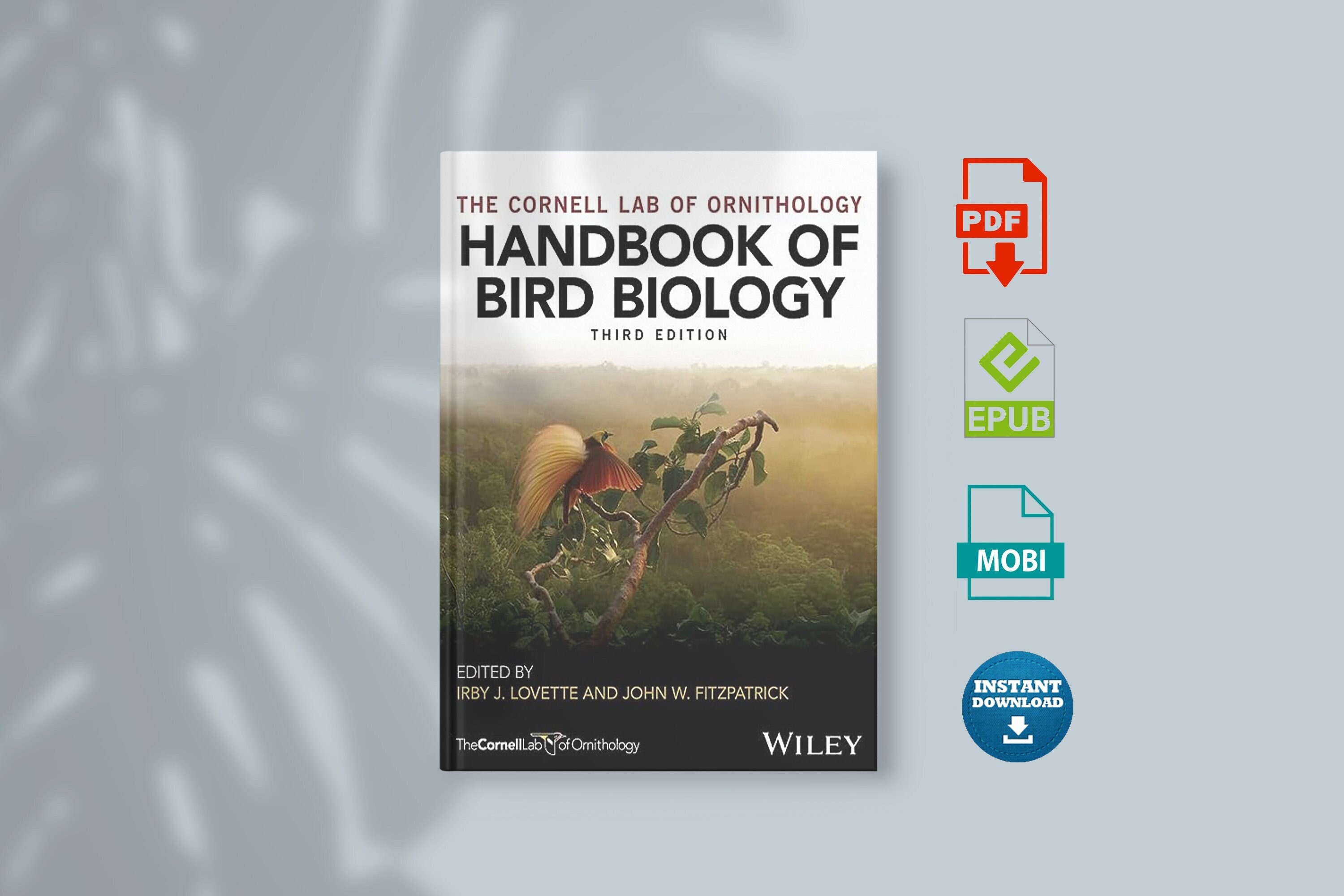 Etsy　India　In　Online　Books　Ornithology　Buy　India