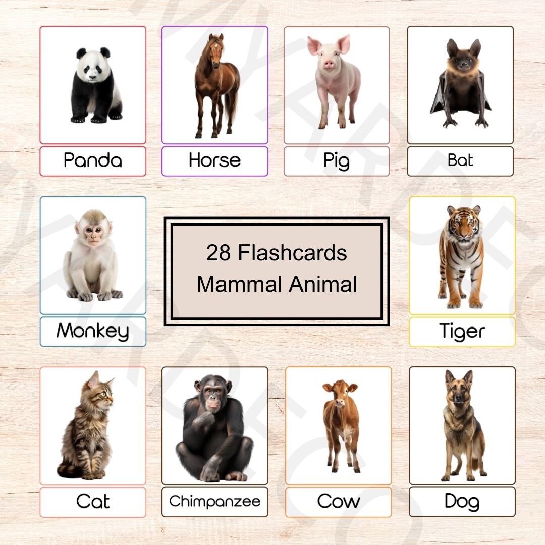 28 Mammal Animals丨flashcards Animals丨pdf Printable Cards Preschool丨 ...