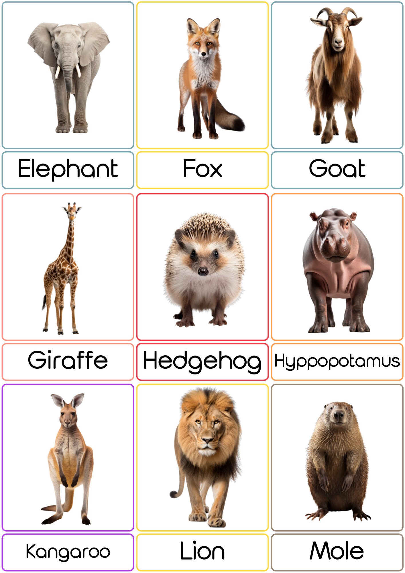 28 Mammal Animals丨flashcards Animals丨pdf Printable Cards Preschool丨 ...