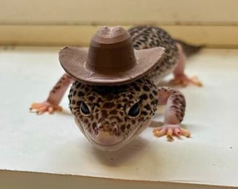 Cowboy Hat for Small Pet, Critter Accessory Gift for reptile lover, amphibian, bearded dragon, frog, gecko, Hamster, rabbit, Guinea pig, rat
