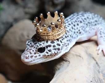 Crown Hat for Small Pet, Critter Accessory, Funny Gift for reptile lover, amphibian, bearded dragon, frog, gecko, Hamster, Guinea pig, rat