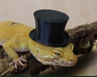 Top Hat for Small Pet, Critter Accessory, Funny Gift for reptile lover, amphibian, bearded dragon, frog, gecko, Hamster, Guinea pig, rat