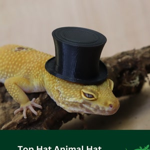 Top Hat for Small Pet, Critter Accessory, Funny Gift for reptile lover, amphibian, bearded dragon, frog, gecko, Hamster, Guinea pig, rat