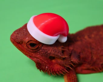 May include: A red and white Santa hat on a red bearded dragon. The dragon is on a green background. Santa Animal Hat.