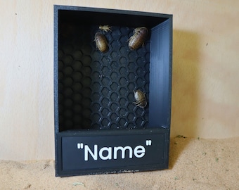 Gepersonaliseerde Reptile Insect Feeder, Chameleon Feeding Box, Cadeau voor reptielenliefhebber, aan de muur gemonteerd of vrijstaand voor baardagaam