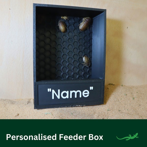 Personalised Reptile Insect Feeder, Chameleon Feeding Box, Gift For Reptile Lover, Wall Mounted or Freestanding for Bearded Dragon