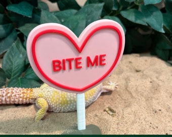 Loveheart Personalised Name Sign, Reptile Decoration, Vivarium Accessory  Valentines Gift, Ornament for Gecko lover, Jumping Spider, Frog