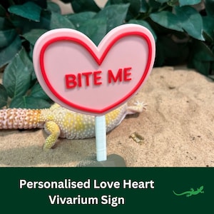 Loveheart Personalised Name Sign, Reptile Decoration, Vivarium Accessory  Valentines Gift, Ornament for Gecko lover, Jumping Spider, Frog