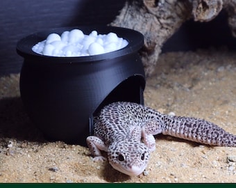 Könnte beinhalten: Ein schwarzes, kesselartiges Reptilienversteck mit weißem Schaumstoff im Inneren. Ein kleiner Leopardgecko schaut aus der Öffnung.
