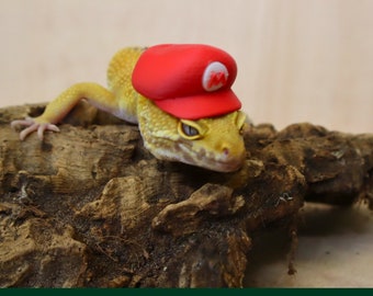 Plumber Hat for Small Pet, Critter Accessory, Funny Gift for reptile lover, amphibian, bearded dragon, frog, gecko, Hamster, Guinea pig, rat