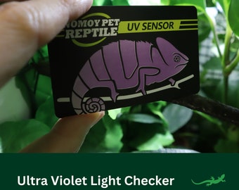 UVB Light sensor, Reptile UV checker, Critter Accessory Gift for reptile lover, amphibian, bearded dragon, frog, gecko, Tortoise, snake