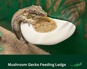 Mushroom Gecko Feeding Ledge, Wall mounted reptile dish, Crested Gecko Diet Suction Cup Platform, Vivarium Decor, Perfect Gift for Reptile