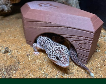 Halloween Coffin Reptile Hide, Spooky gift for reptile lover, Perfect for Leopard Gecko, Jumping Spider, Frogs.
