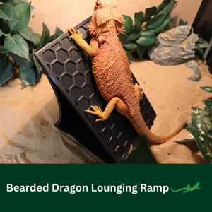 Wooden Bearded Dragon Hide Cave With Ramp - 12.9x11x4.7 Inch Reptile Habitat Accessory
