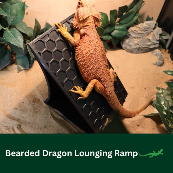 Reptile Climbing Ramp, Bearded Dragon Basking Platform, Rock Wall Lounger for Gecko or beardies, Perfect Gift for Reptile Lover