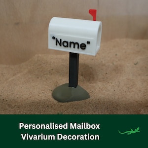 Mailbox Personalised Name Sign, Reptile Decoration, Vivarium Accessory Gift, Ornament for reptile lover, Gecko, Jumping Spider, Frog