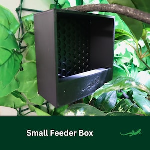 May include: A small black feeder box with a honeycomb pattern on the back. The box is hanging from a branch in a green leafy plant.