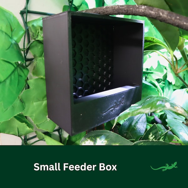 Reptile Insect Feeder For Crested, Gargoyle & Leopard Gecko or Chameleon, Feeding Box Gift For Pet Lover, Wall Mounted or Freestanding