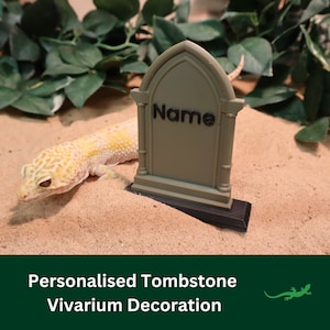 May include: A green, personalised tombstone with the word "Name" on it. The tombstone is sitting on sand with a small lizard in the foreground. This is a terrarium decoration.