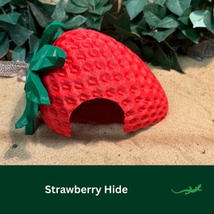 Erdbeere Reptilhaut, wunderliches Vivarium Zubehör Geschenk für Haustiergehege, Vogelspinne, Eidechse, springende Spinne, Leopardgecko