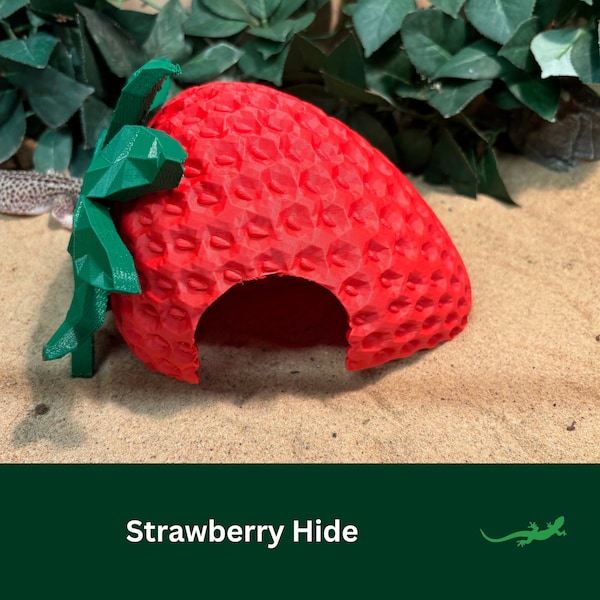 Strawberry Reptile Hide, Whimsical Vivarium Accessory Gift for Pet enclosure, Tarantula, Lizard, Jumping Spider,  Leopard Gecko