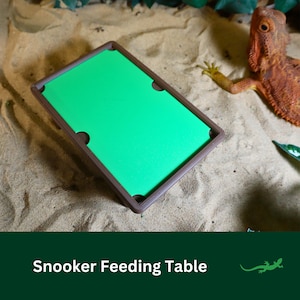Pool Table and Bench for bearded dragon, Snooker Feeding Bowl, Large Reptile food dish, Gift for Reptile Animal Lover, Vivarium decor