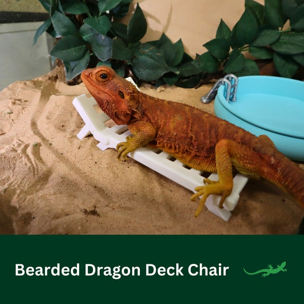 Bearded dragon Lounging Chair, Reptile basking spot lounger, Deck chair decor for Leopard Gecko and beardies, Perfect Gift for Reptile Lover