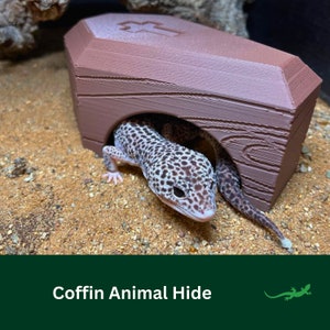 May include: A brown coffin-shaped reptile hide with a cross on top. A small lizard is peeking out from the opening of the hide.