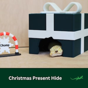 May include: A green and white Christmas present box with a white bow on top. A small lizard is peeking out of a hole in the box. The box is on a light brown surface.