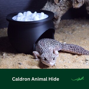 Halloween Caldron Reptile Hide, Spooky gift for reptile lover, Perfect for Leopard Gecko, Jumping Spider, Frogs.